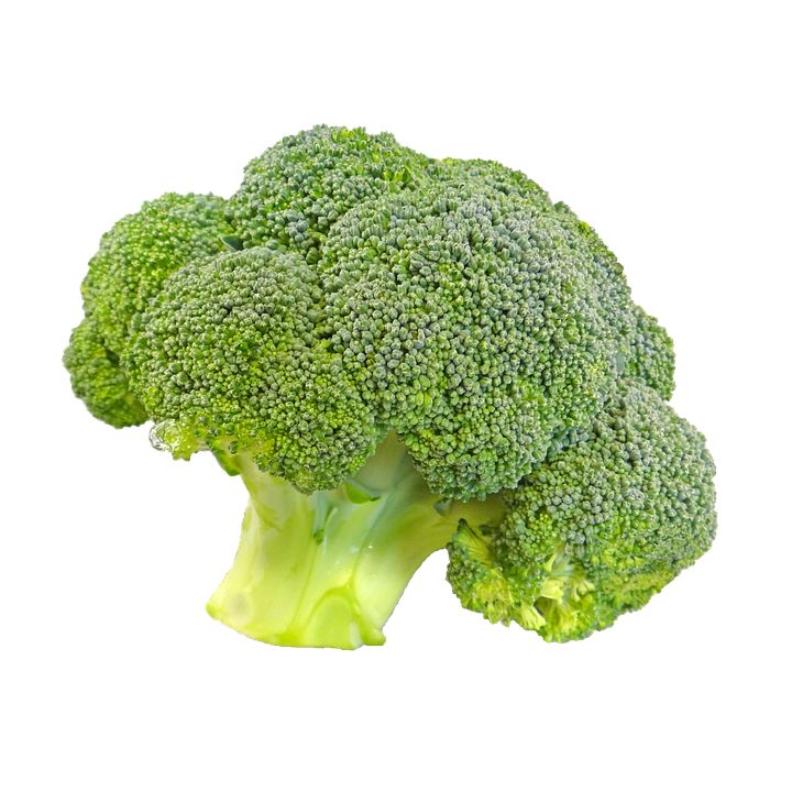 Broccoli PNG    图片编号:72899