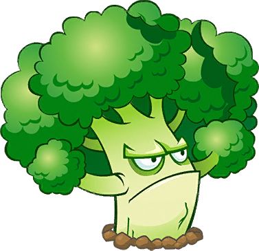Broccoli PNG    图片编号:72901