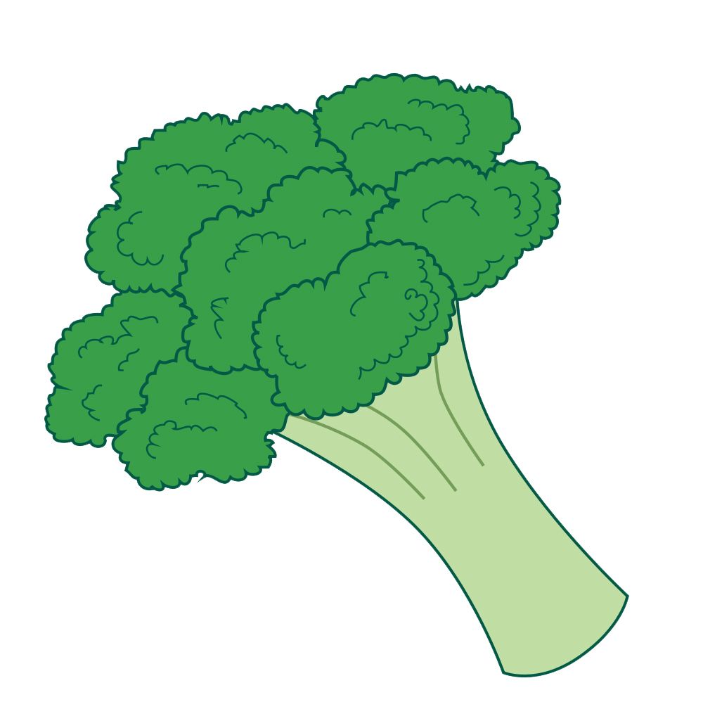 Broccoli PNG    图片编号:72902