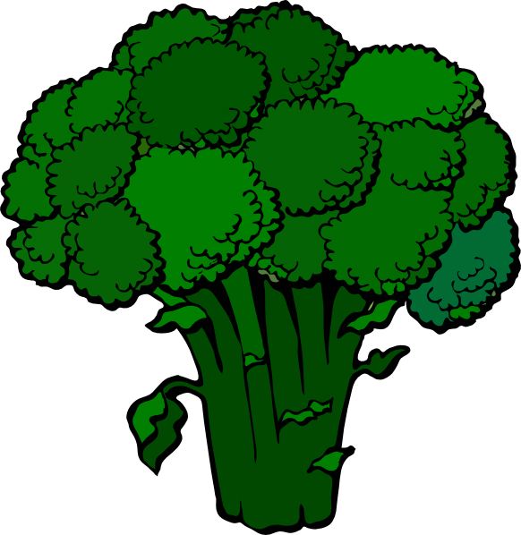 Broccoli PNG    图片编号:72904