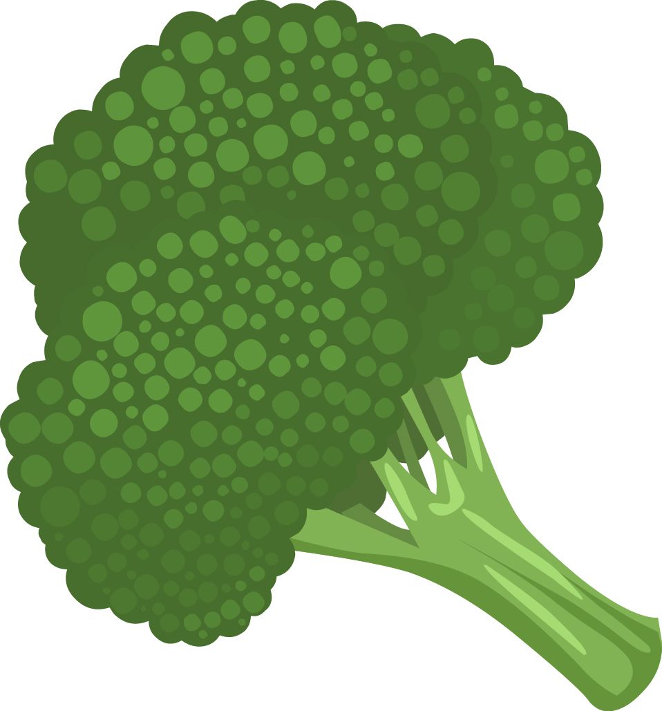 Broccoli PNG    图片编号:72906