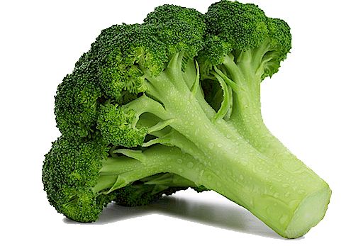 Broccoli PNG    图片编号:72907