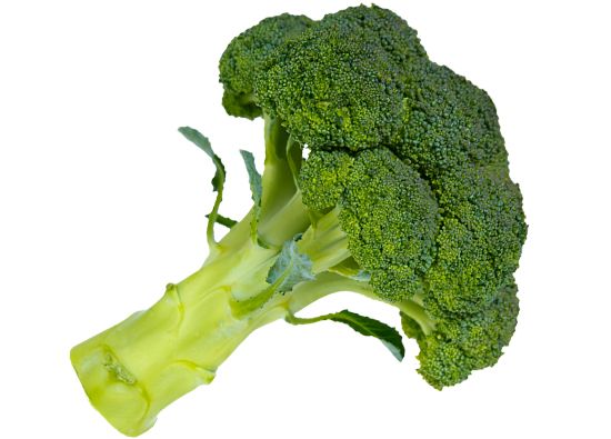 Broccoli PNG    图片编号:72909