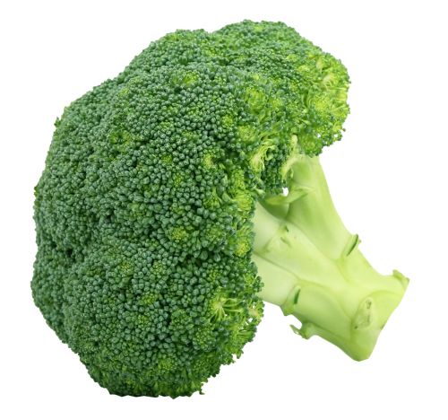 Broccoli PNG    图片编号:72911
