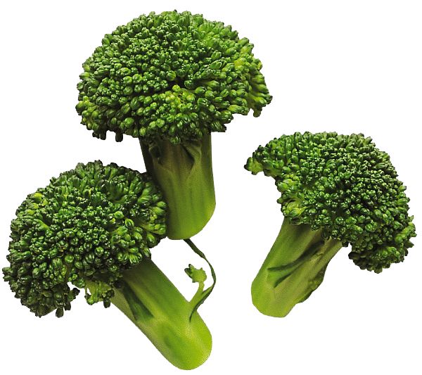 Broccoli PNG    图片编号:72912