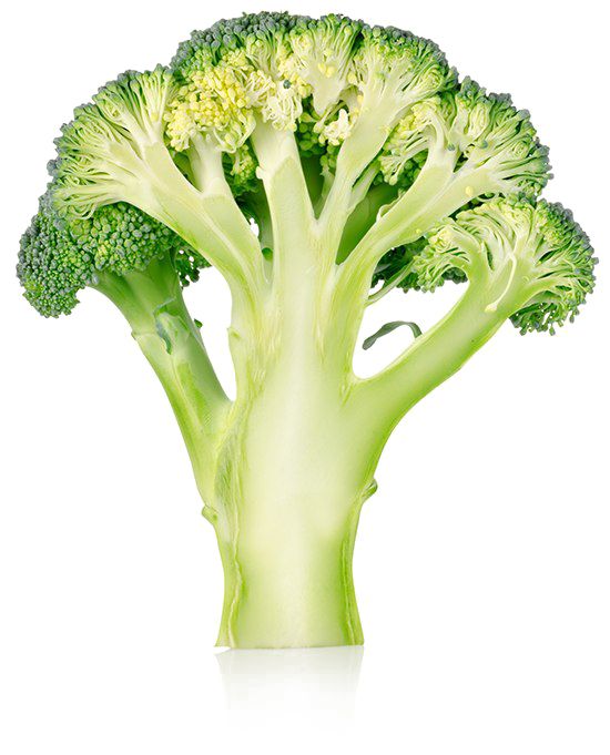 Broccoli PNG    图片编号:72915