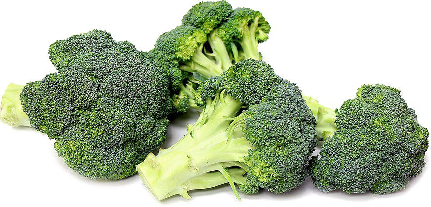 Broccoli PNG    图片编号:72917