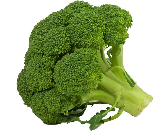 Broccoli PNG    图片编号:72921