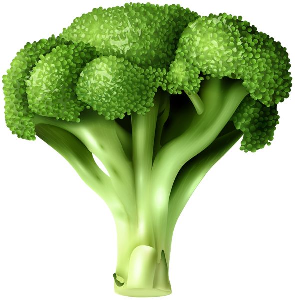 Broccoli PNG    图片编号:72925