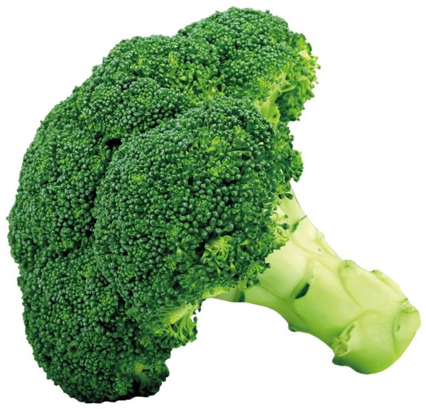 Broccoli PNG    图片编号:72927
