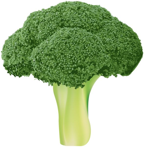 Broccoli PNG    图片编号:72929