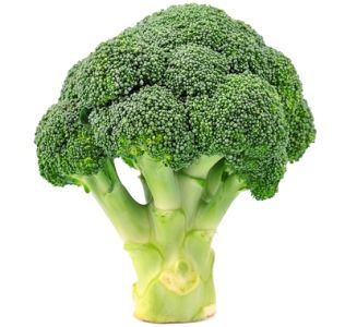 Broccoli PNG    图片编号:72931
