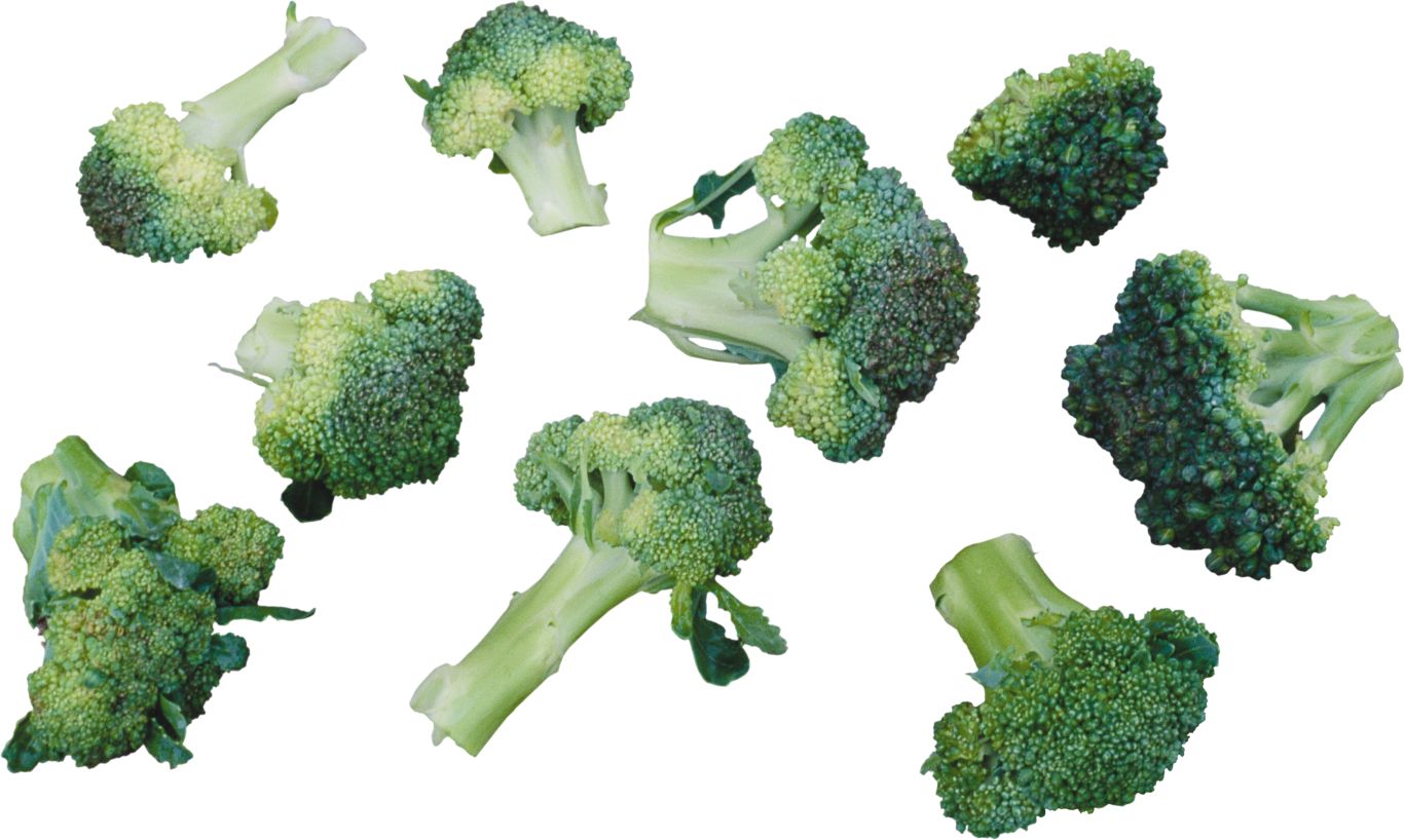 Broccoli PNG    图片编号:72933