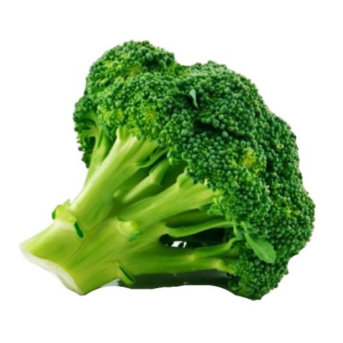 Broccoli PNG    图片编号:72950