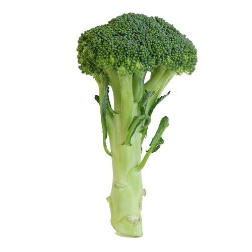 Broccoli PNG    图片编号:72952