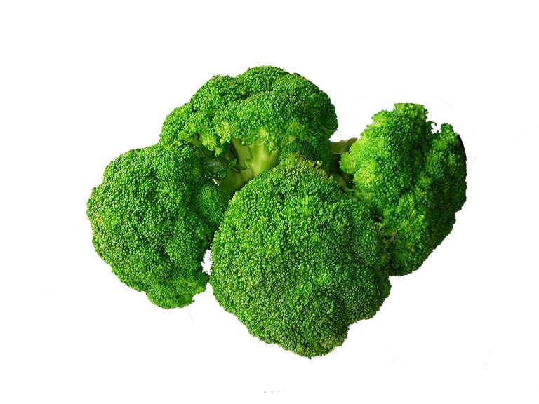 Broccoli PNG    图片编号:72957