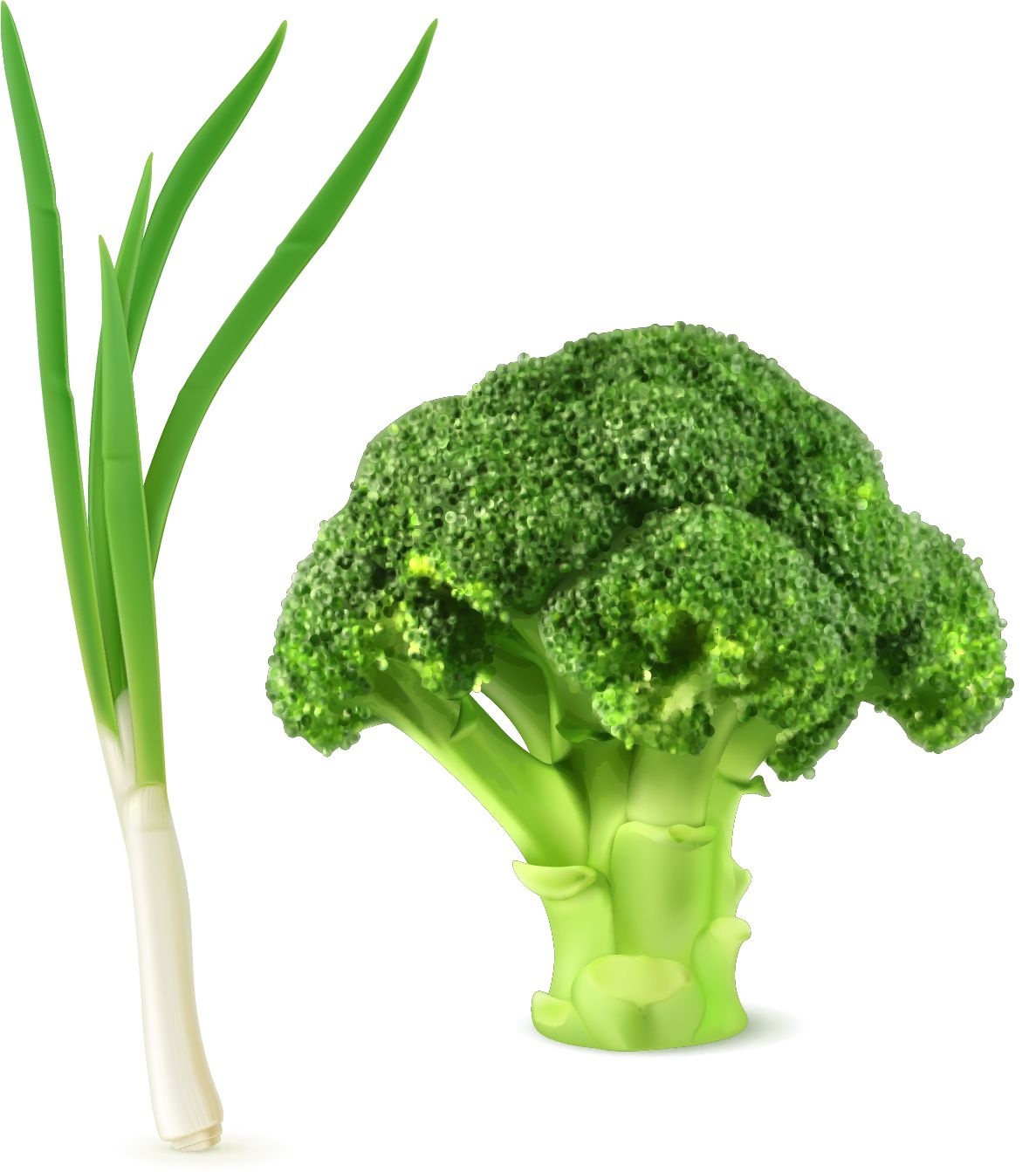 Broccoli PNG    图片编号:72958