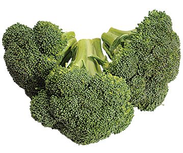 Broccoli PNG    图片编号:72962