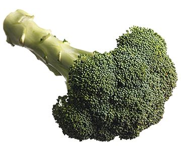 Broccoli PNG    图片编号:72963