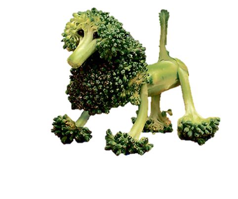 Broccoli PNG    图片编号:72973