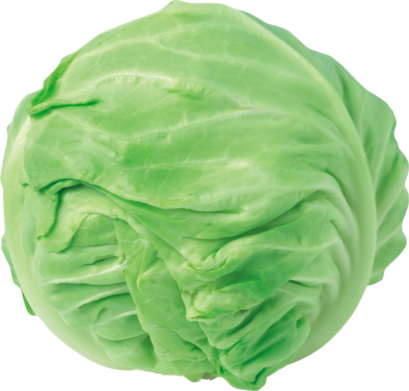 Cabbage PNG image    图片编号:8779