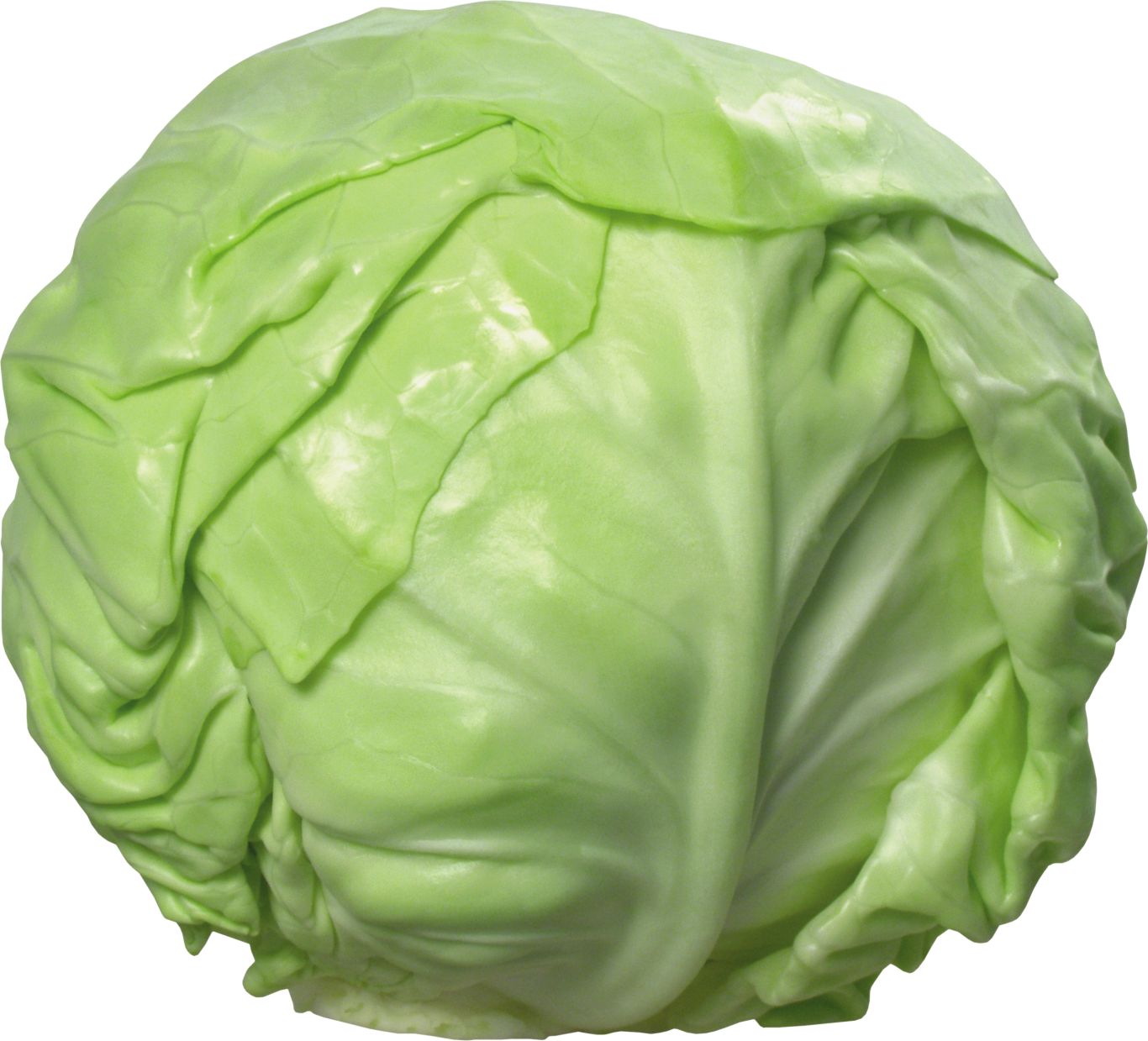 Cabbage PNG image    图片编号:8780