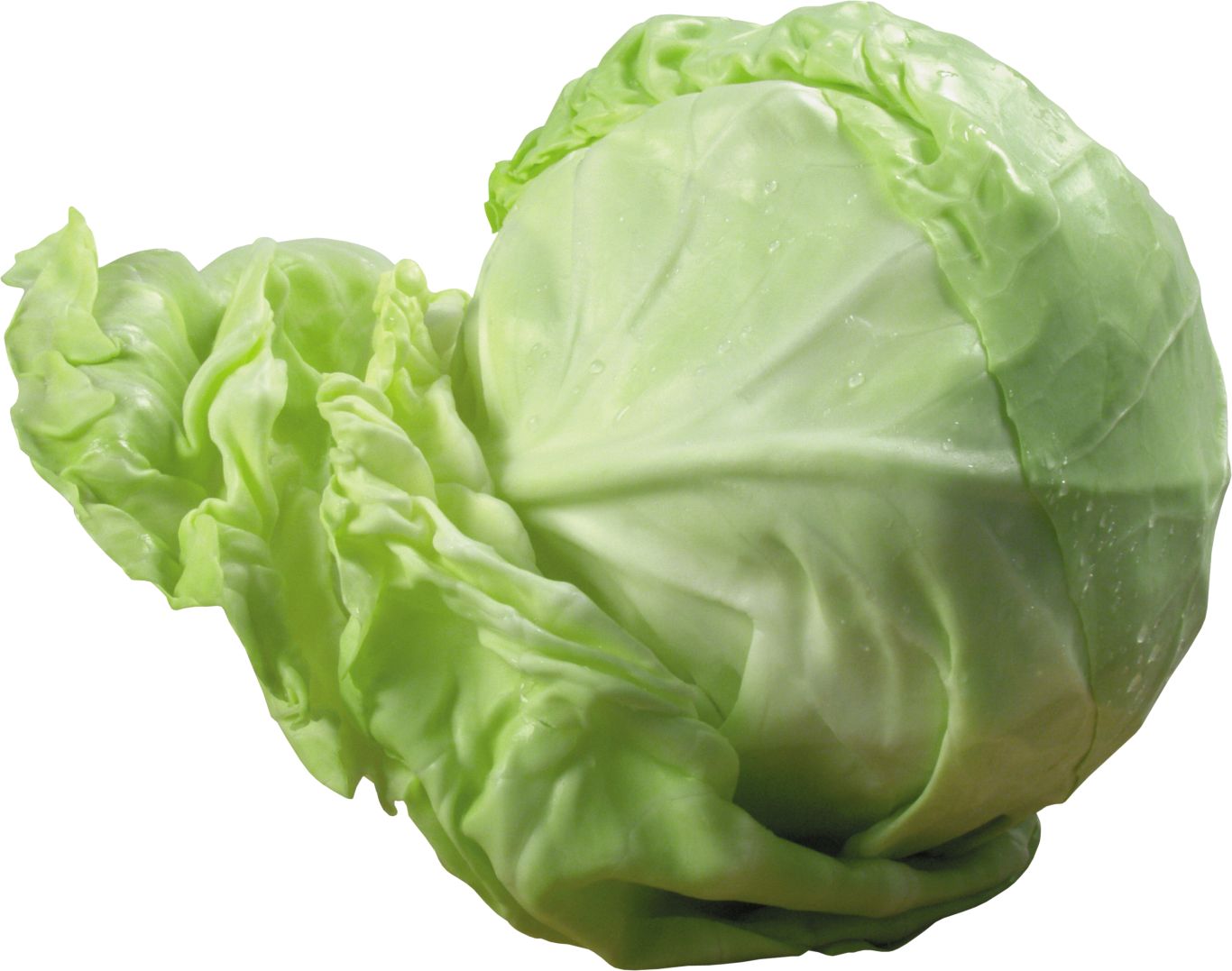 Cabbage PNG image    图片编号:8781