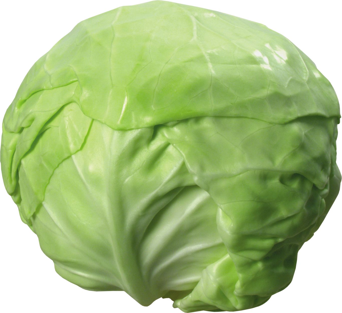 Cabbage PNG image    图片编号:8785