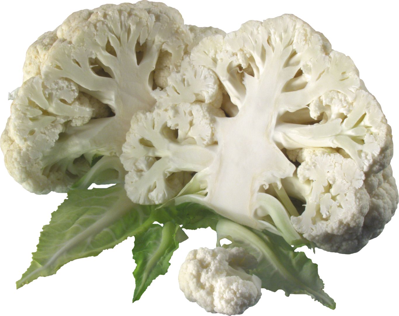 cauliflower PNG image    图片编号:8788