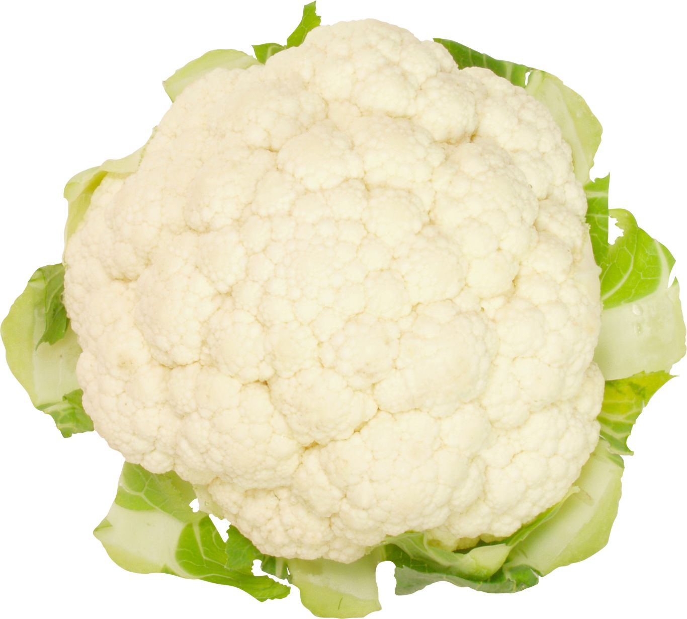 cauliflower PNG image    图片编号:8790