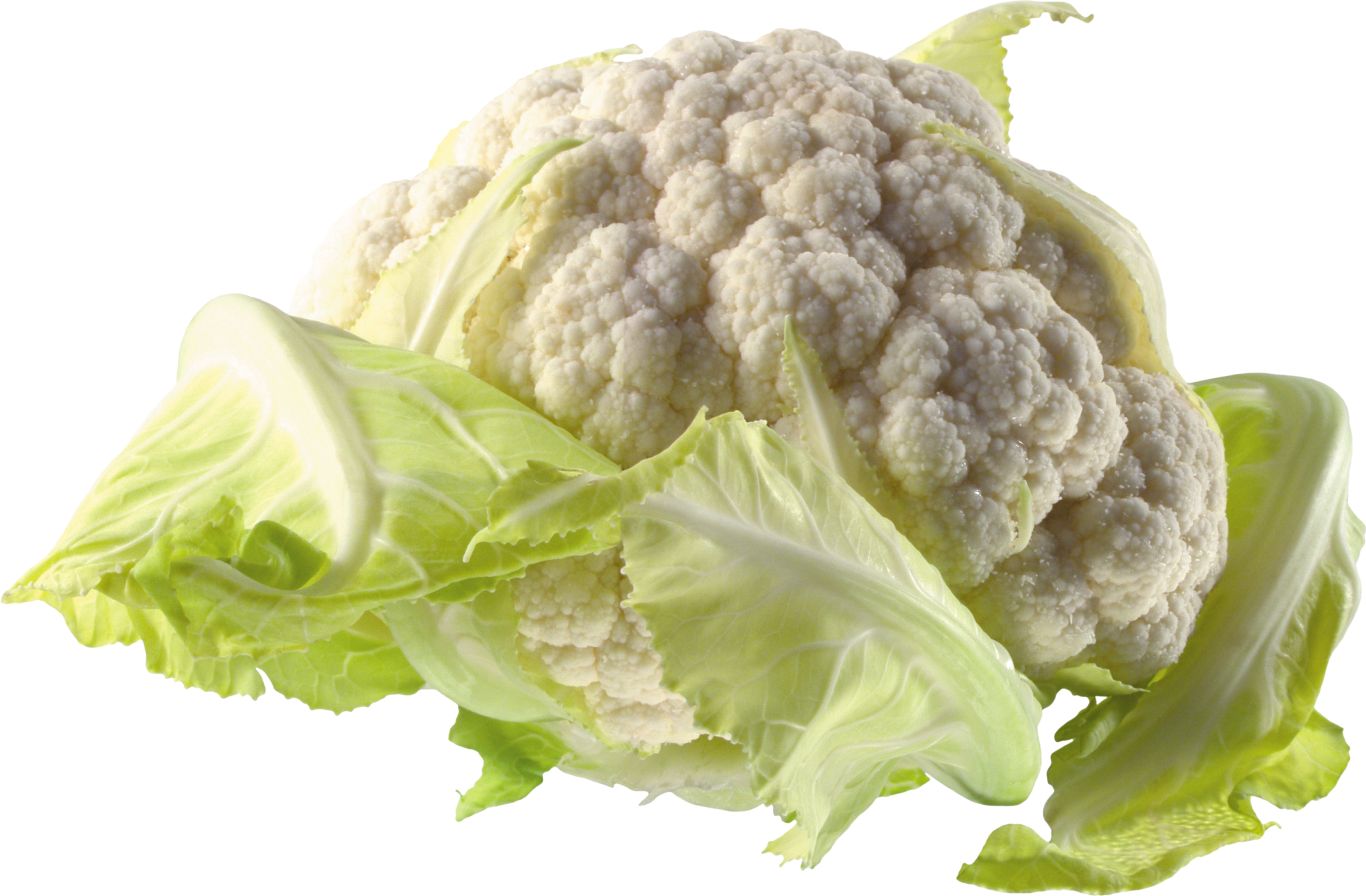 cauliflower PNG image    图片编号:8792
