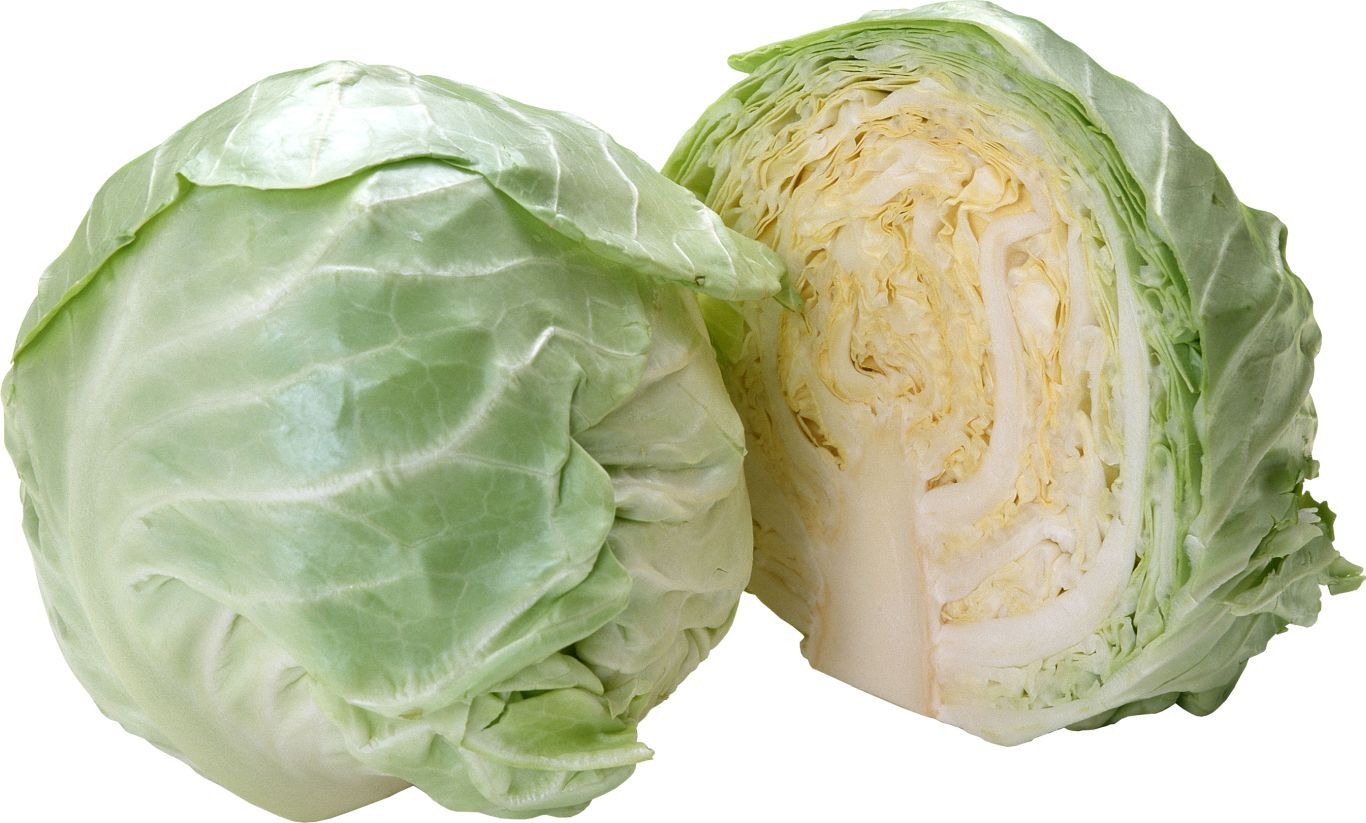 Cabbage PNG image    图片编号:8797