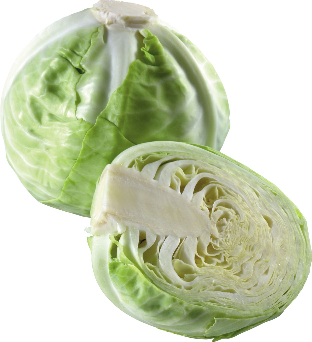 Cabbage PNG image    图片编号:8799