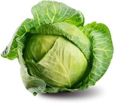 Cabbage PNG image    图片编号:8804