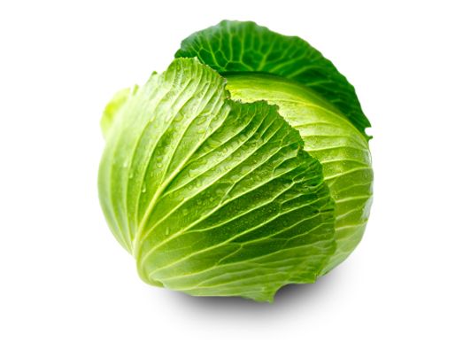 Cabbage PNG image    图片编号:8805