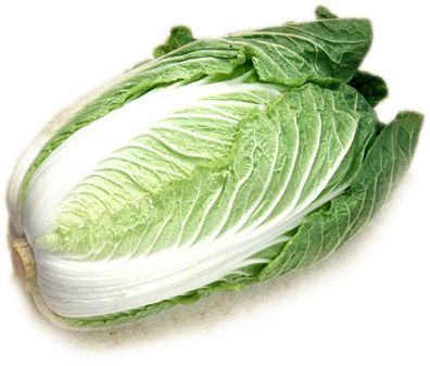 Cabbage PNG image    图片编号:8808