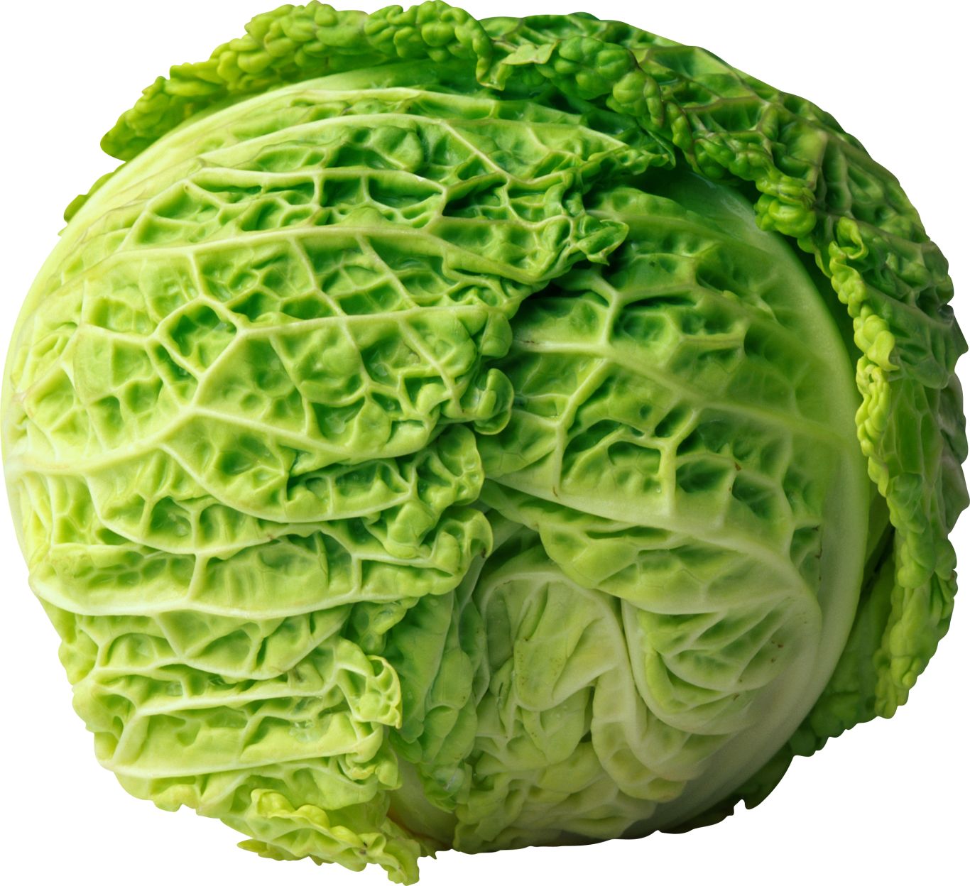 Cabbage PNG image    图片编号:8809