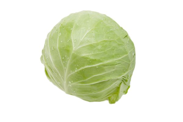 Cabbage PNG image    图片编号:8812