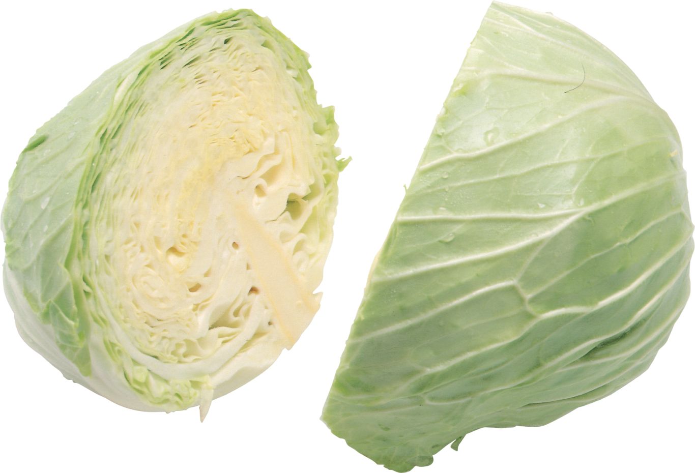 Cabbage PNG image    图片编号:8814