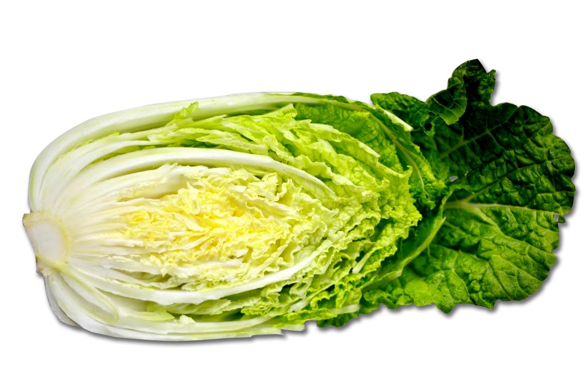 Cabbage PNG image    图片编号:8819