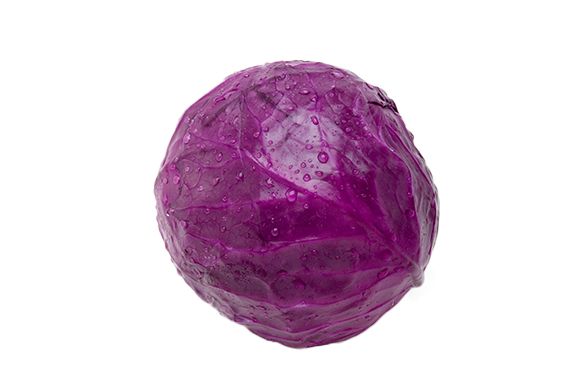 Cabbage PNG image    图片编号:8820