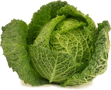 Cabbage PNG image    图片编号:8821