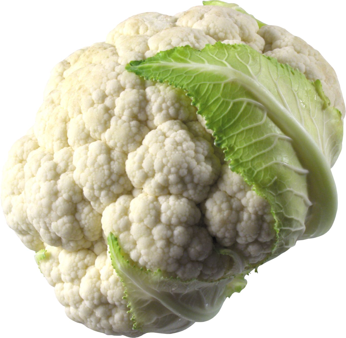 cauliflower PNG image    图片编号:8822