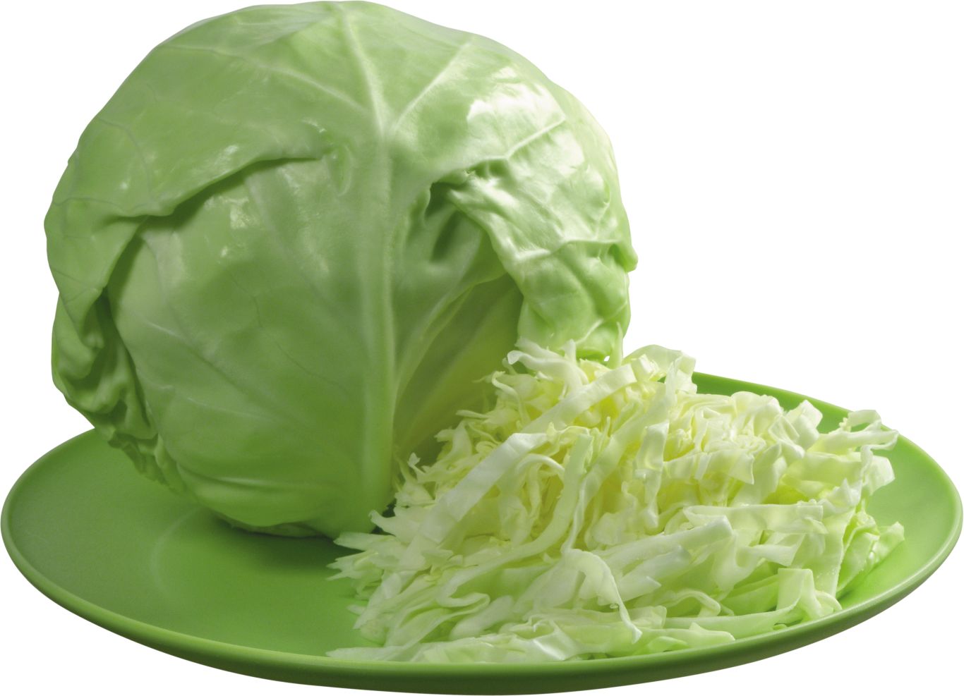 Cabbage PNG    图片编号:99102