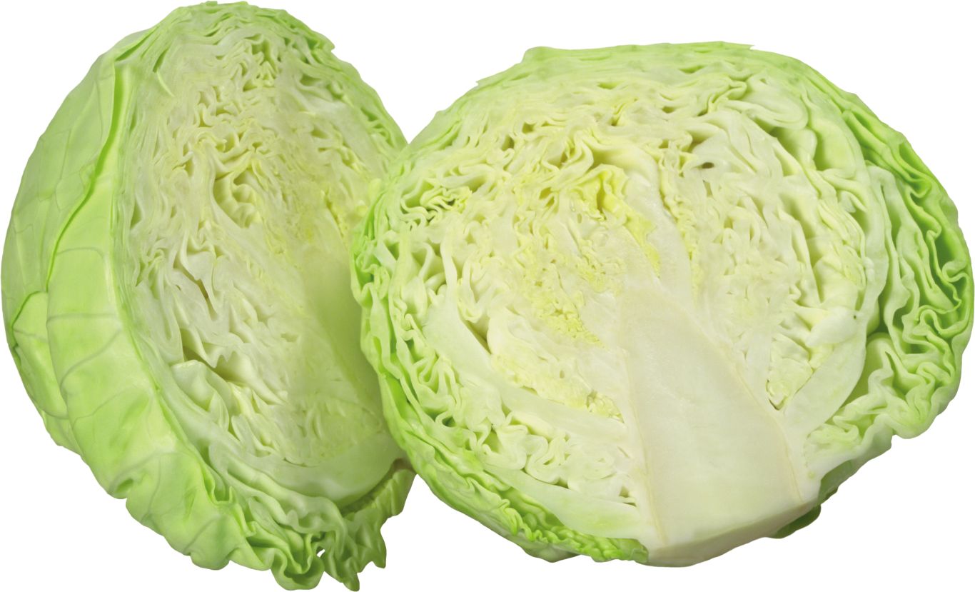 Cabbage PNG    图片编号:99126