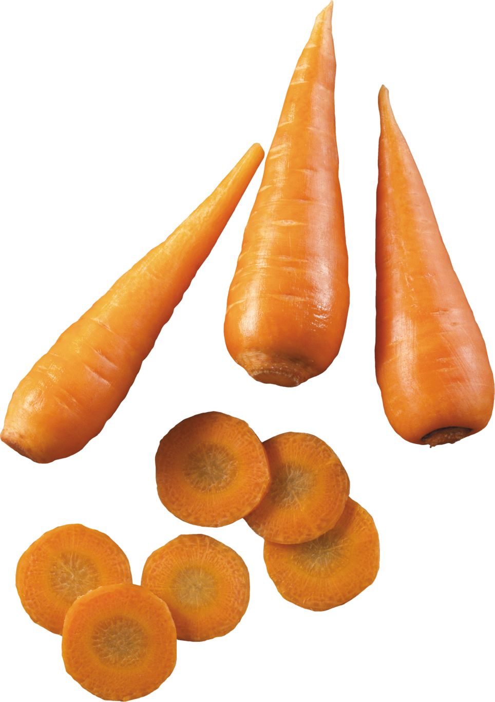 Carrot PNG image    图片编号:4972