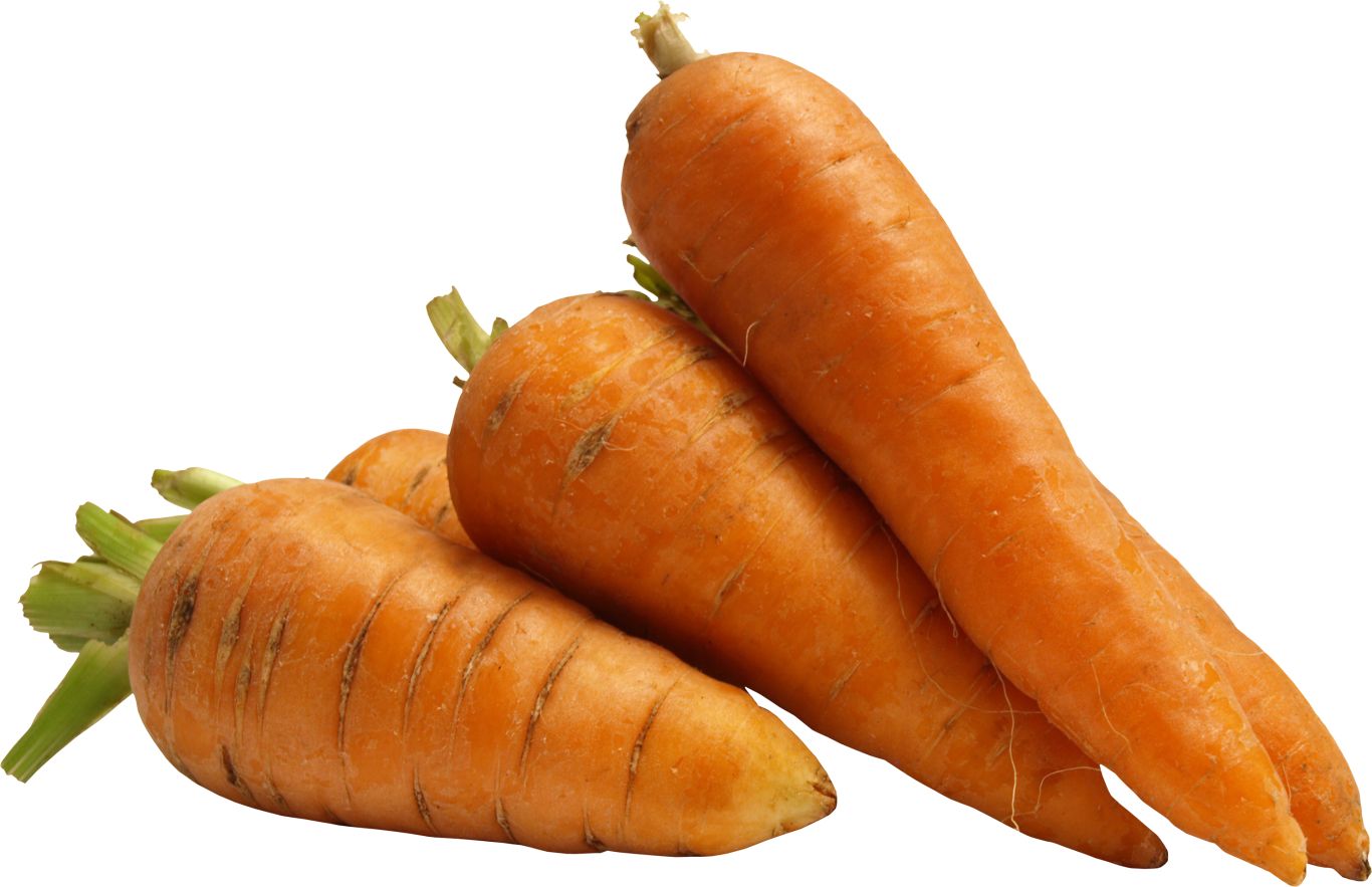 Carrot PNG image    图片编号:4978