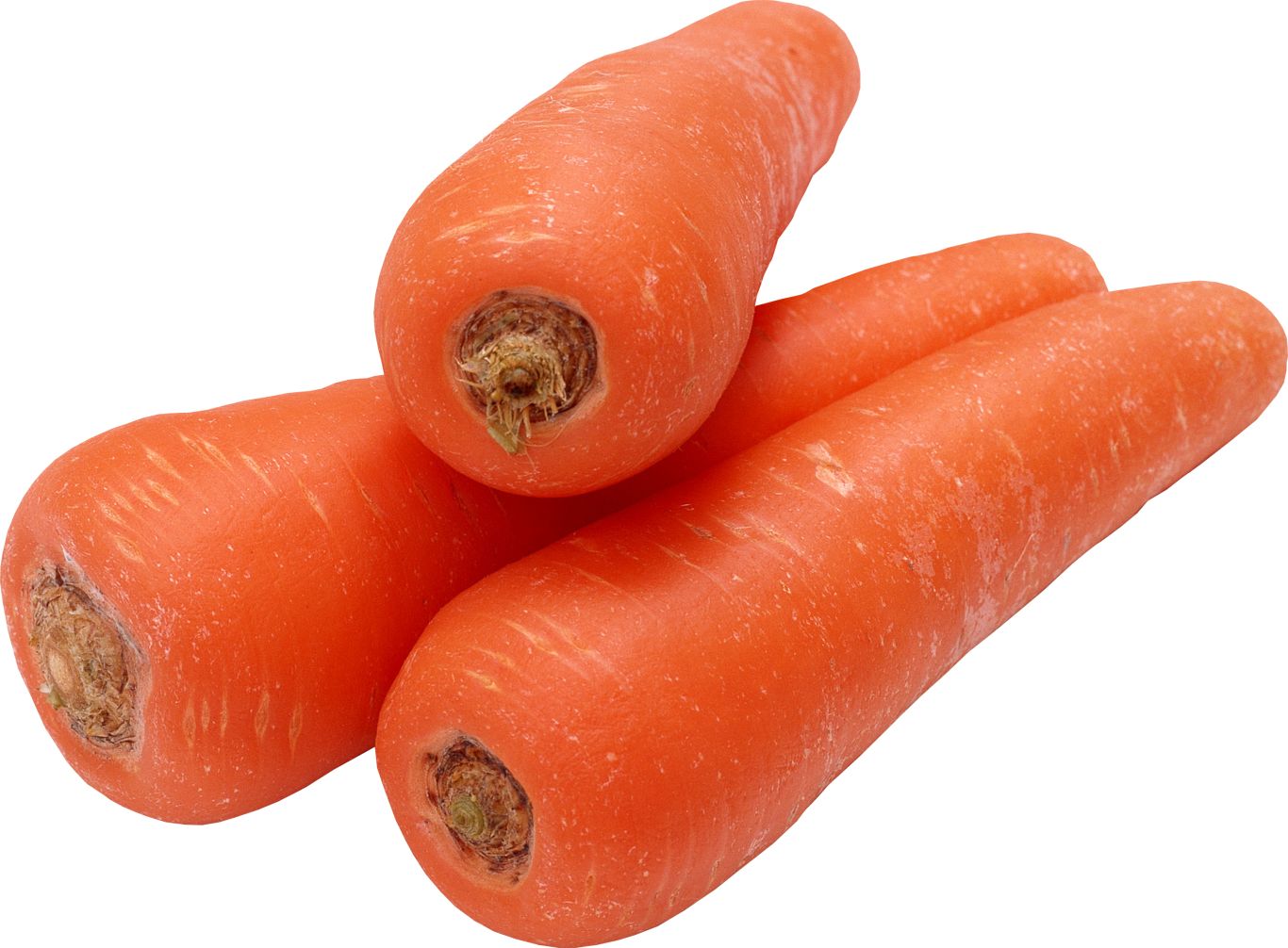 Carrot PNG image    图片编号:4981