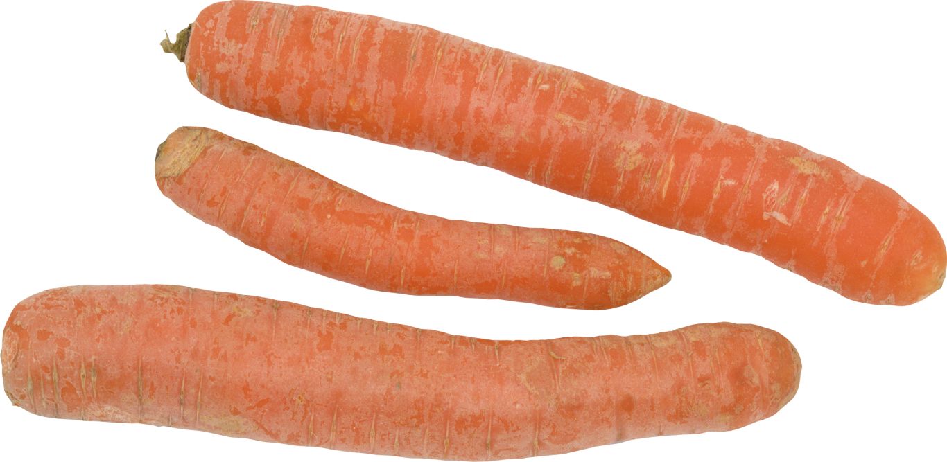 Carrot PNG image    图片编号:4982
