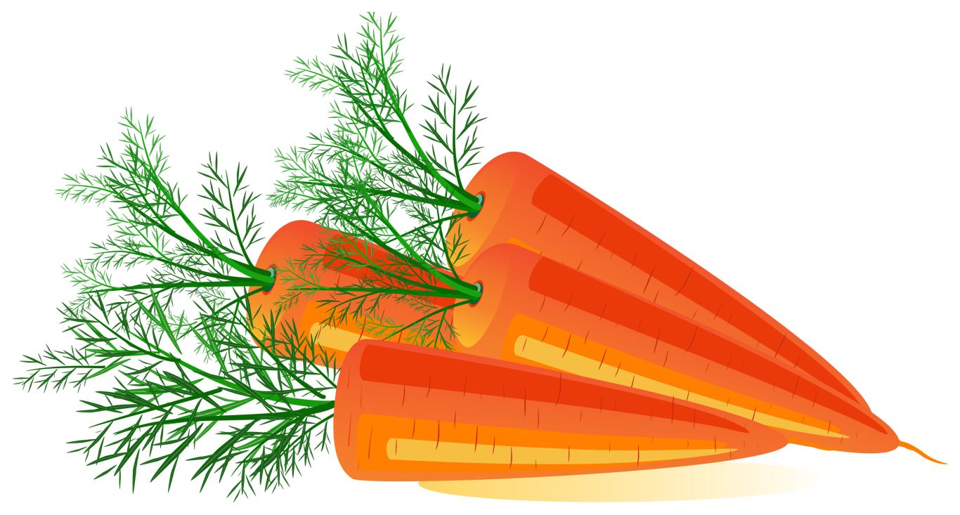 Carrot PNG image    图片编号:4983